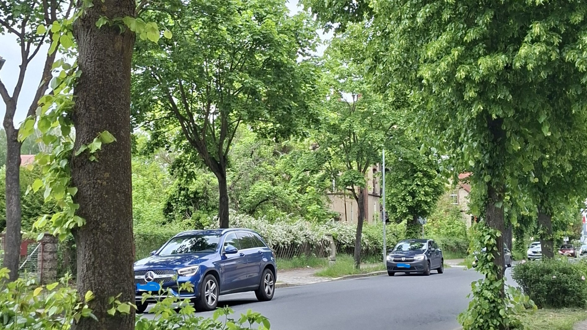 B96 mit Bäumen und vorbeifahrendem Verkehr